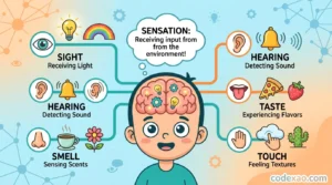 Sensation Meaning