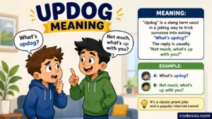 updog meaning