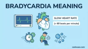 Bradycardia Meaning
