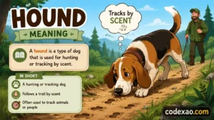 Hound Meaning