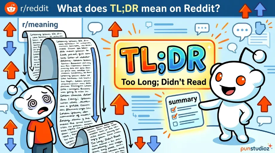TL;DR Meaning on Reddit